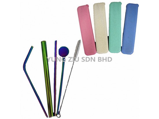 5PCS STRAW SET